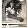 Image 2 : Photography Monographs E - 32 pieces