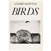 Image 4 : Photography Monographs E - 32 pieces