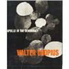 Image 8 : Walter Gropius Monographs - 12 pieces