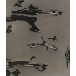 Herbert Matter Photo - 1 piece