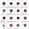 Image 1 : Estate Lot of 16x USA 1-cent from a collector who looked for errors and die enomolies like die crack