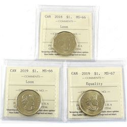 2018 MS-66, 2019 MS-66 & 2019 Equality MS-67 All ICCS Certified coins. 3pcs