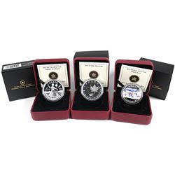 Lot of 3x 2013 Canada Fine Silver Coins (Tax Exempt): 2013 $5 25th Anniversary, 2013 $10 Winter & 20