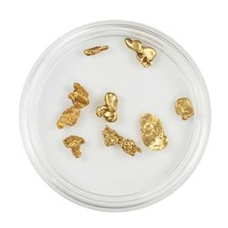 Lot of Gold Nuggets 3.05 grams Total Weight