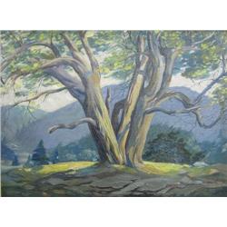 Walter A. Ferrier (Canadian, active 193