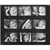Image 1 : BERT STERN: MARILYN MONROE CONTACT SHEET 42X48 INCHES.