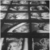 Image 2 : BERT STERN: MARILYN MONROE CONTACT SHEET 42X48 INCHES.