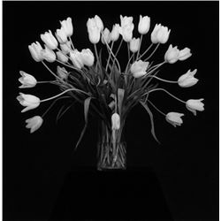 Robert Mapplethorpe Tulips, 1988.