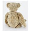 Image 2 : 15 inch Steiff Button Bear.