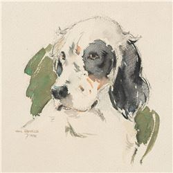 William Rannells "Study of a Spaniel" .