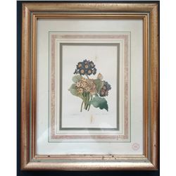 THE BOUQUETS OF PIERRE-JOSEPH REDOUTE (1759-1840).
