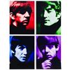 Image 1 : SHAHROKH HATAMI (1930-2017) THE BEATLES RAINBOW PRINT.
