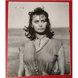 SOPHIA LOREN VINTAGE PHOTO.