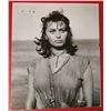 Image 1 : SOPHIA LOREN VINTAGE PHOTO.