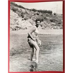 SOPHIA LOREN VINTAGE PHOTO.