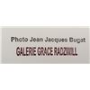 Image 2 : JEAN-JACQUES BUGAT: ANDY WARHOL.