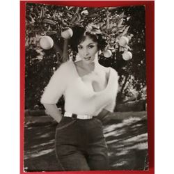 GINA LOLLOBRIGIDA VINTAGE PHOTO.