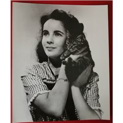 Elizabeth Taylor vintage Photograph