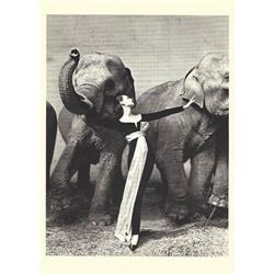 RICHARD AVEDON SIGNED 'Dovima With Elephants', Dior, Paris, 1955 card.