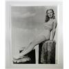 Image 1 : VERONICA LAKE PHOTO.