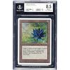 Image 1 : The Gathering Unlimited Edition Black Lotus