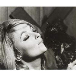 SHARON TATE VINTAGE PHOTOGRAPH