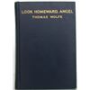 Image 3 : LOOK HOMEWARD, ANGEL BY WOLFE THOMAS (1929).