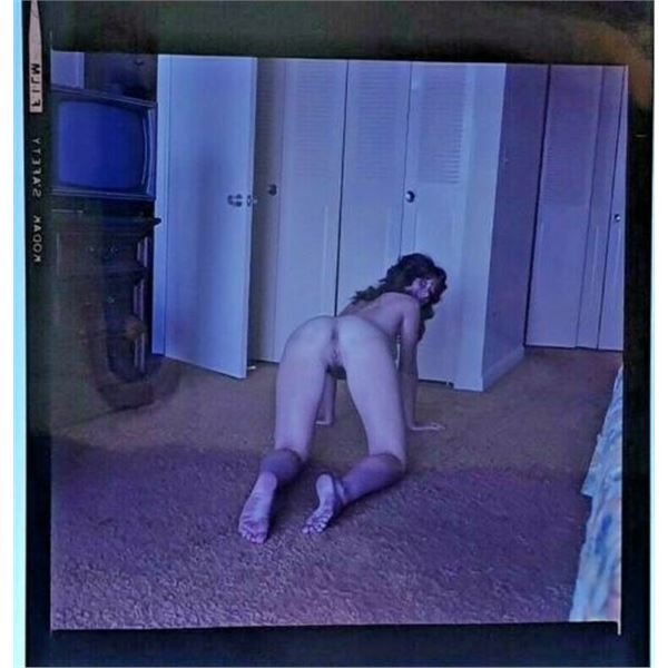 Bunny Yeager Estate 60s Colour Transparency