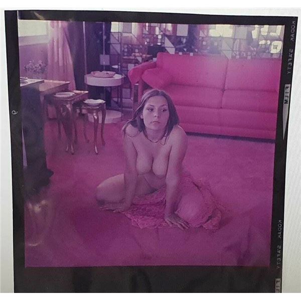 Bunny Yeager Estate 50s Colour Transparency