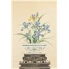Image 1 : Chinese Watercolor Orchid Scroll