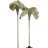 Image 1 : Cleopatra Prop Fans. Pair of large, gold-paint "Cleopatra" Prop Fans.
