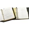 Image 3 : Set of "SCTV" Scripts. Included are two three-ri Set of "SCTV" Scripts.