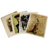 Image 1 : Nelson Story, Elsie Clark, and Others Signed Pho Nelson Story, Elsie Clark, and Others Signed Photos