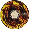 Image 5 : Dion "Runaround Sue" Gold Vinyl LP Laurie 2009 ( Dion "Runaround Sue" Gold Vinyl Mono LP Laurie 2009