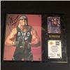 Image 1 : HOLLYWOOD HULK HOGAN SIGNED PLAQUE DISPLAY w/ COA