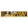 Image 1 : Lucky Lady Silkscreened Banner.