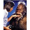 Image 2 : Harry and the Hendersons Plaster Teeth.