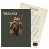 Image 1 : "Introducing the Ewoks" Press Folder.