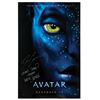 Image 1 : Signed Avatar Event Poster.