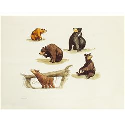 Marc Davis Nature's Wonderland Concept Print.