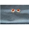 Image 1 : Jewelry-14KT Gold Almandite Garnet Earrings #842764
