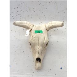 Faux Steer Skull Wall Plaque - 18" wide x 22"