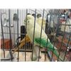 Image 3 : Vintage Metal Bird Cage on Stand - 5 Foot Tall