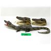 Image 1 : Dried Baby Gator & 2 Small Gator Heads