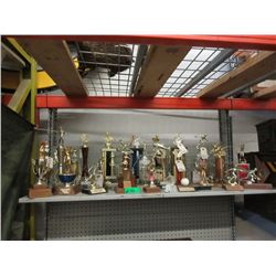 Shelf Lot of Assorted Vintage Trophies