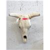 Image 1 : Faux Steer Skull - 18" wide x 22" tall