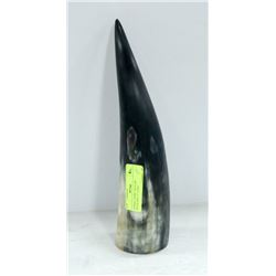 ANIMAL HORN- HOLLOW- MEASURES 12" LONG
