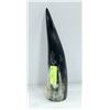 Image 1 : ANIMAL HORN- HOLLOW- MEASURES 12" LONG