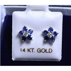 7) 14K WHITE GOLD NATURAL BLUE SAPPHIRE(1CT)