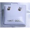 Image 1 : 43) 14K YELLOW GOLD DIAMOND(0.16CT)  EARRINGS